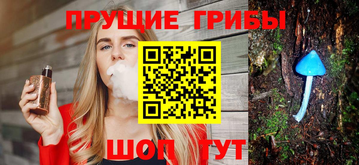 Волхов  Галлюциногенные грибы MAGIC MUSHROOMS  Вход с VPN 